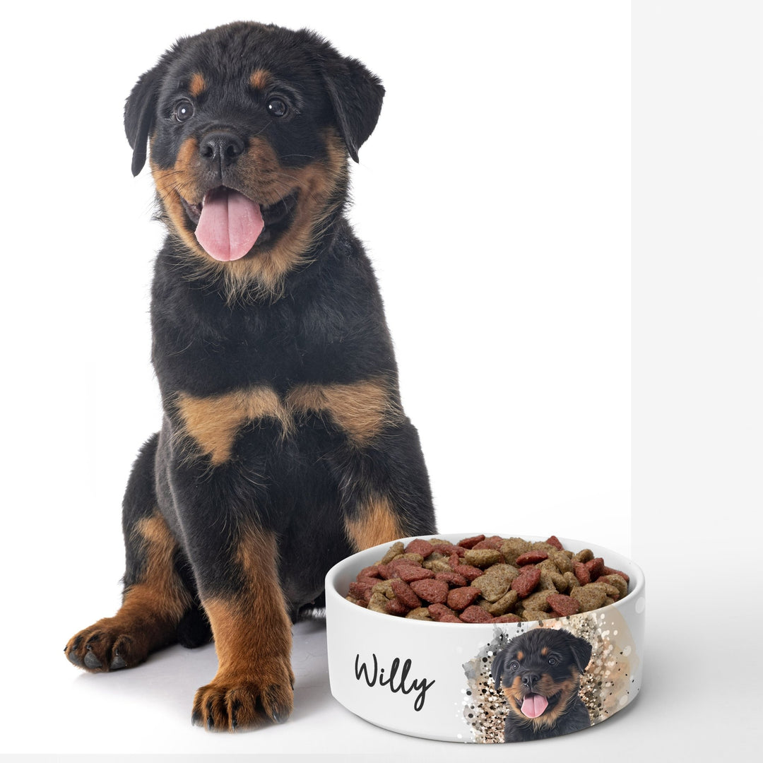 https://www.thepetoncanvas.com/cdn/shop/products/poc-custom-pet-bowl-304568.jpg?v=1690371842&width=1080